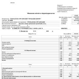 Фінансовий звіт 2020